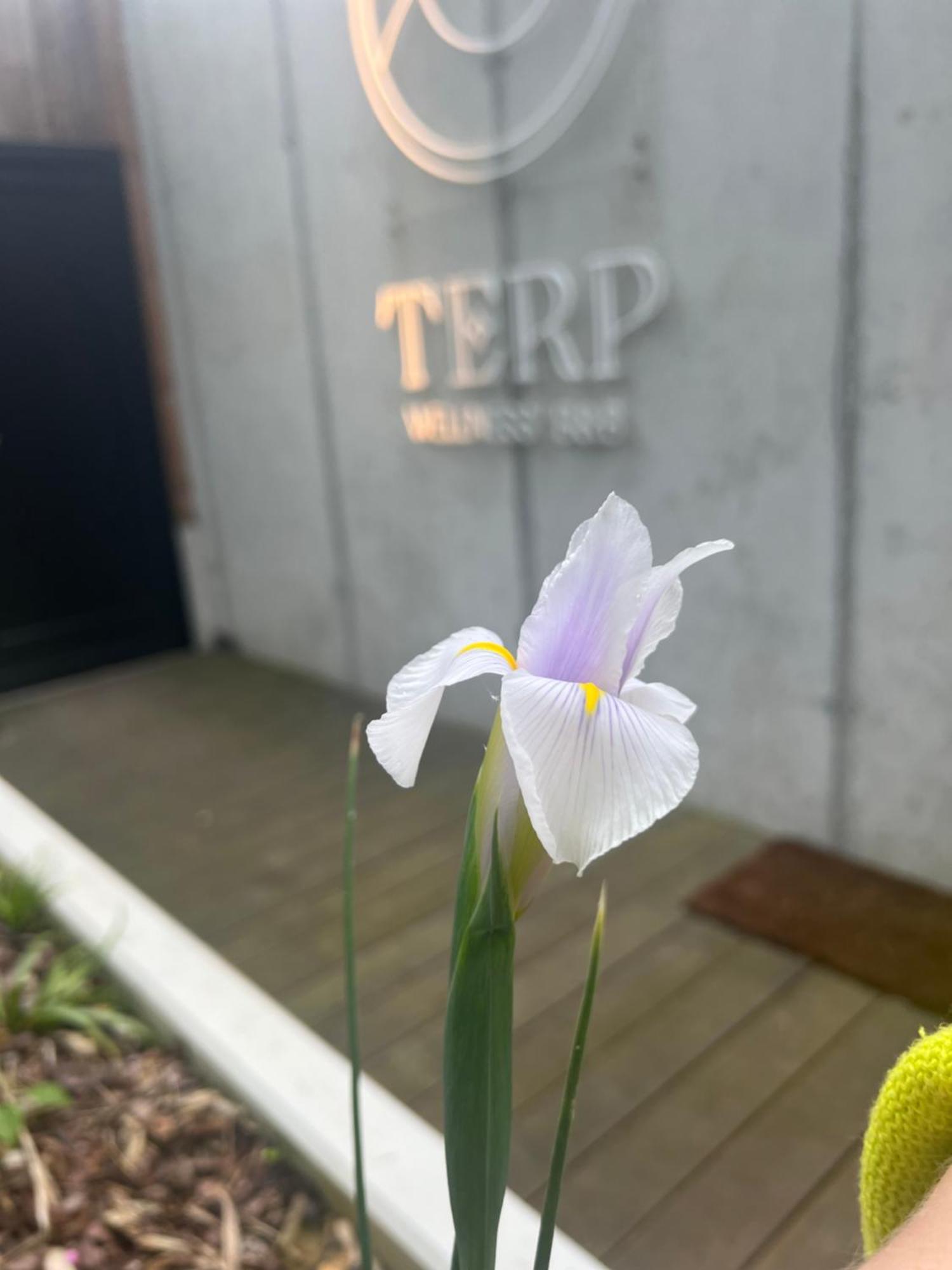 Terp Bed and Breakfast Poperinge Exteriör bild